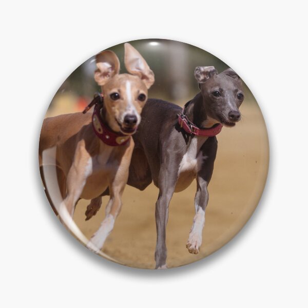 Item preview, Two Greyhound Dog Racing  designed and sold by VanGaldo.