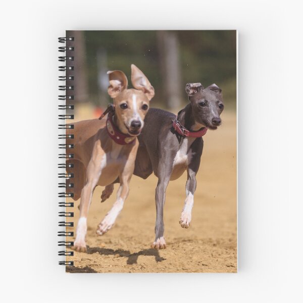 Item preview, Two Greyhound Dog Racing  designed and sold by VanGaldo.