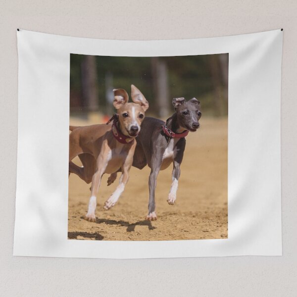 Item preview, Dos carreras de perros galgos designed and sold by VanGaldo.