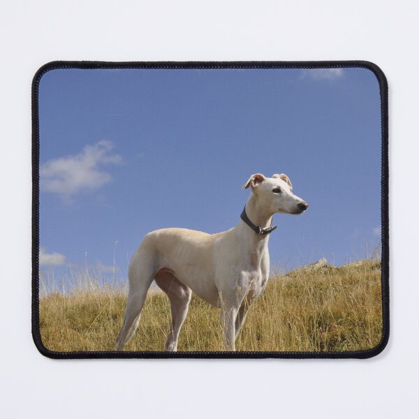 Item preview, Greyhound Dog on the Hills designed and sold by VanGaldo.