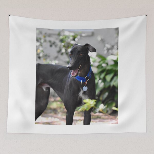Item preview, Cute Greyhound Dog designed and sold by VanGaldo.