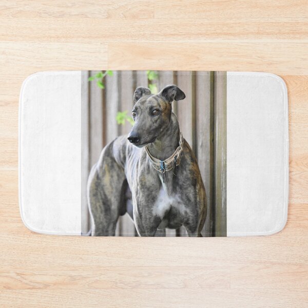 Item preview, Greyhound Dog with Big Muscle  designed and sold by VanGaldo.
