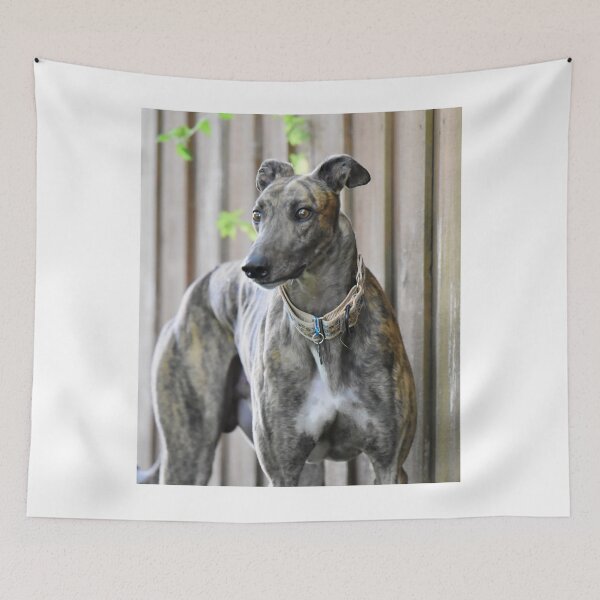 Item preview, Greyhound Dog with Big Muscle  designed and sold by VanGaldo.