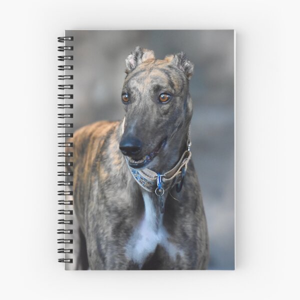 Item preview, Funny Looking Greyhound Dog  designed and sold by VanGaldo.