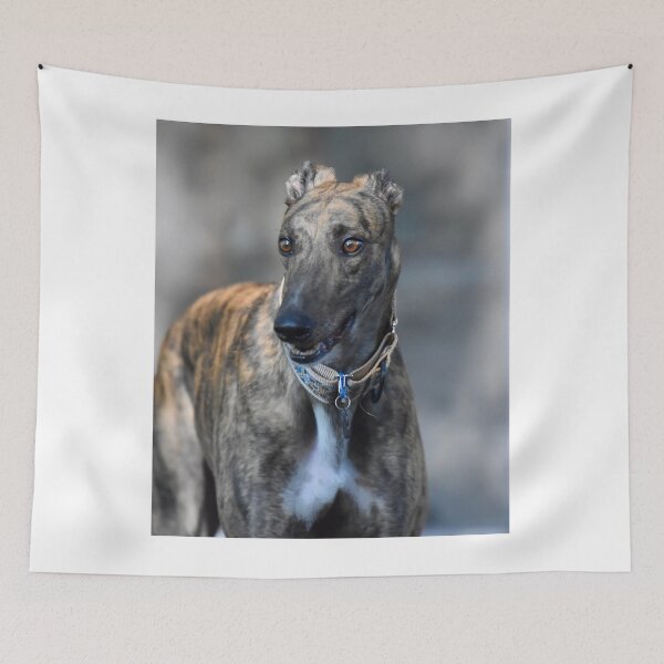 Item preview, Funny Looking Greyhound Dog  designed and sold by VanGaldo.