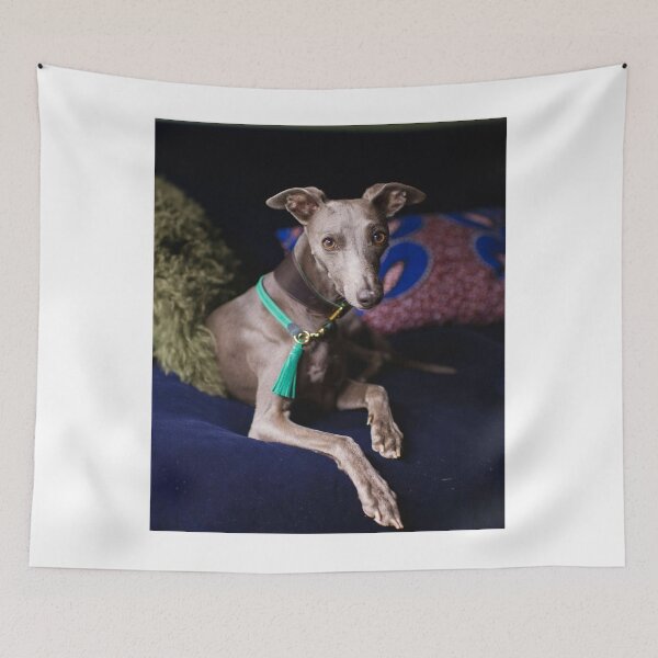 Item preview, Greyhound Dog Laying On Bed designed and sold by VanGaldo.