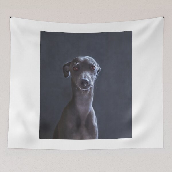 Item preview, Cute Portrait of Greyhound Puppy designed and sold by VanGaldo.