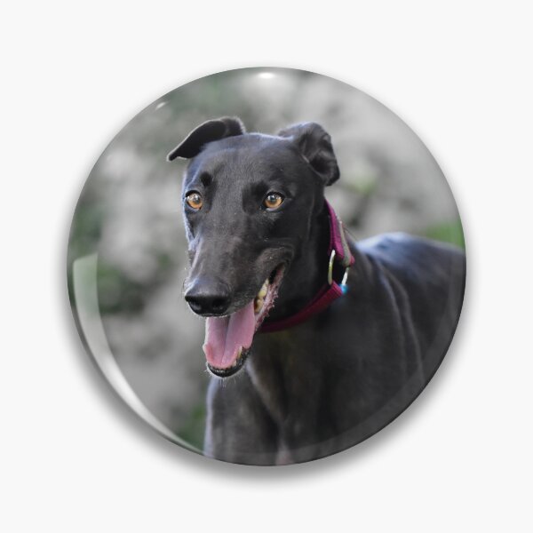 Item preview, Greyhound Dog Panting  designed and sold by VanGaldo.
