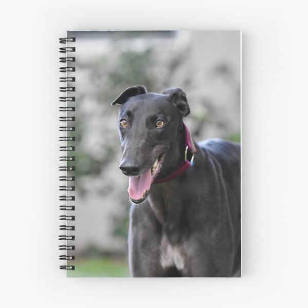 Item preview, Greyhound Dog Panting  designed and sold by VanGaldo.