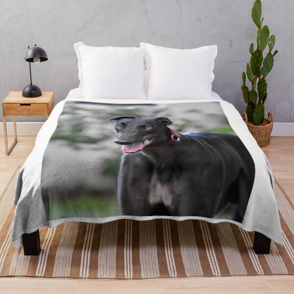 Item preview, Greyhound Dog Panting  designed and sold by VanGaldo.
