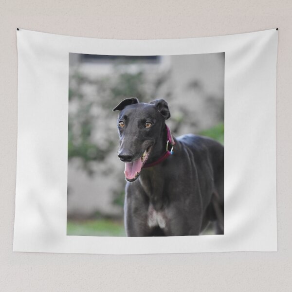 Item preview, Greyhound Dog Panting  designed and sold by VanGaldo.