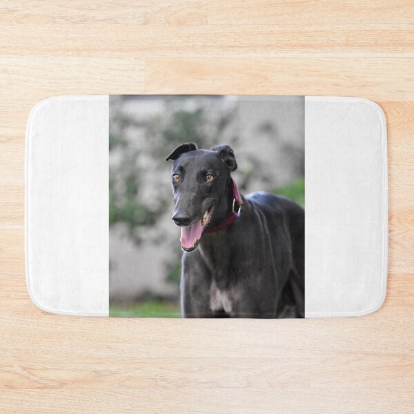 Item preview, Greyhound Dog Panting  designed and sold by VanGaldo.