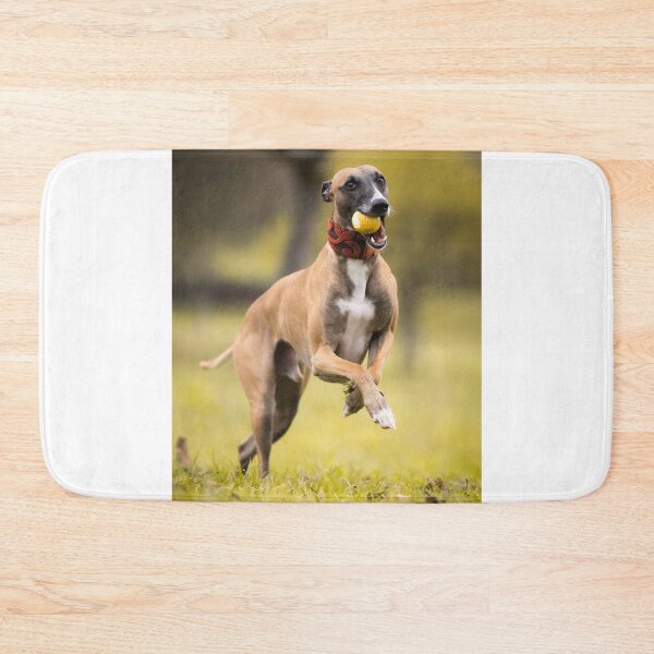 Item preview, Greyhound Dog Loves Playing  designed and sold by VanGaldo.