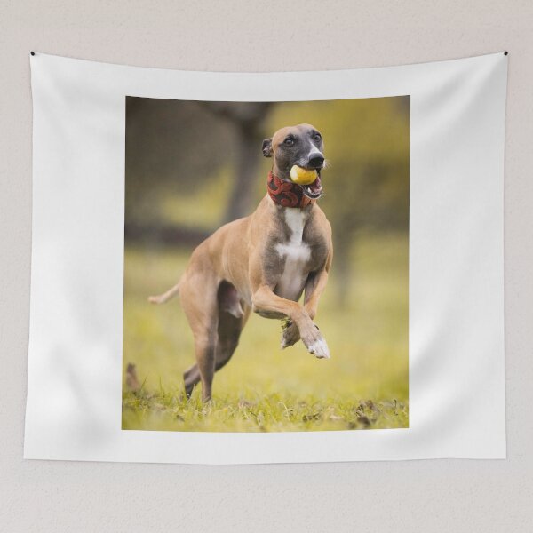 Item preview, Greyhound Dog Loves Playing  designed and sold by VanGaldo.