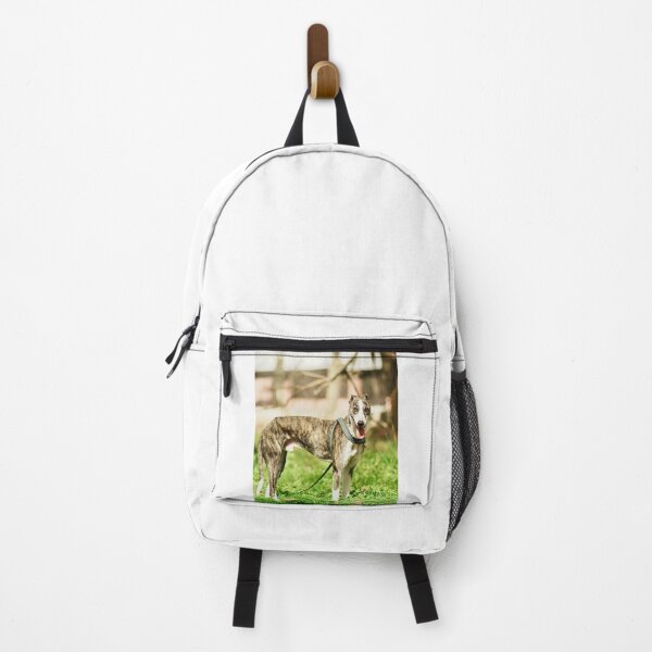 Item preview, Greyhound Dog at the Park designed and sold by VanGaldo.