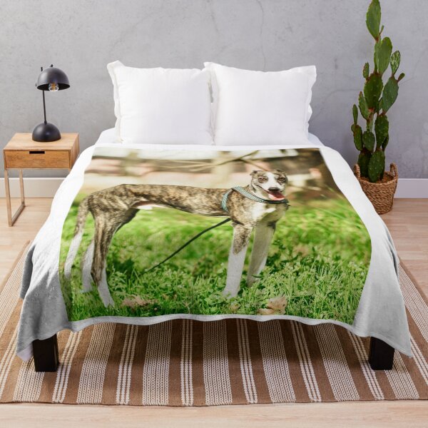 Item preview, Greyhound Dog at the Park designed and sold by VanGaldo.