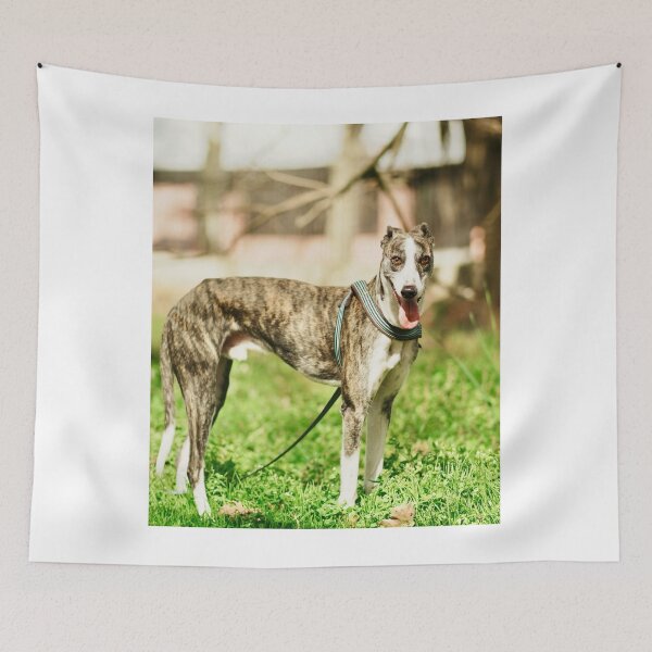 Item preview, Greyhound Dog at the Park designed and sold by VanGaldo.