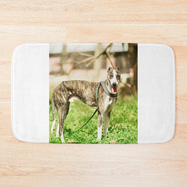 Item preview, Greyhound Dog at the Park designed and sold by VanGaldo.