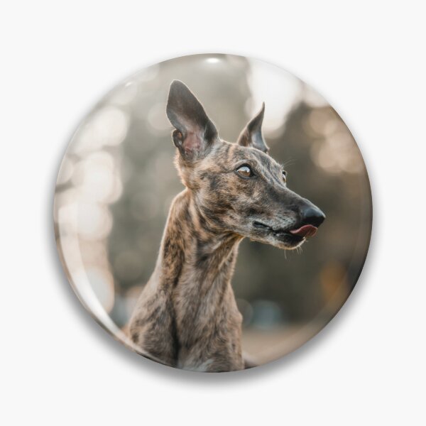 Item preview, Greyhound Dog Laying on the Grass designed and sold by VanGaldo.