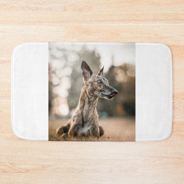 Item preview, Greyhound Dog Laying on the Grass designed and sold by VanGaldo.