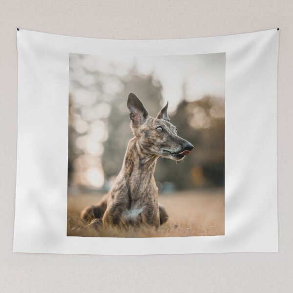 Item preview, Greyhound Dog Laying on the Grass designed and sold by VanGaldo.