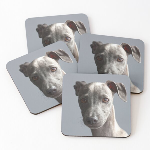 Item preview, Cute Portrait of Greyhound Puppy designed and sold by VanGaldo.