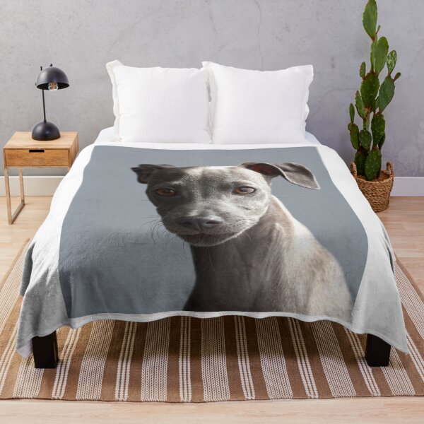 Item preview, Cute Portrait of Greyhound Puppy designed and sold by VanGaldo.