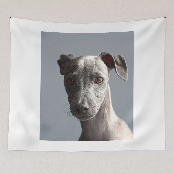 Item preview, Cute Portrait of Greyhound Puppy designed and sold by VanGaldo.