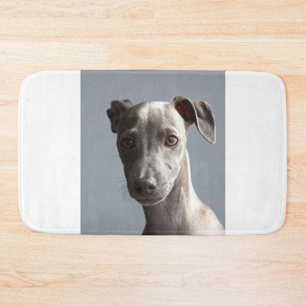 Item preview, Cute Portrait of Greyhound Puppy designed and sold by VanGaldo.