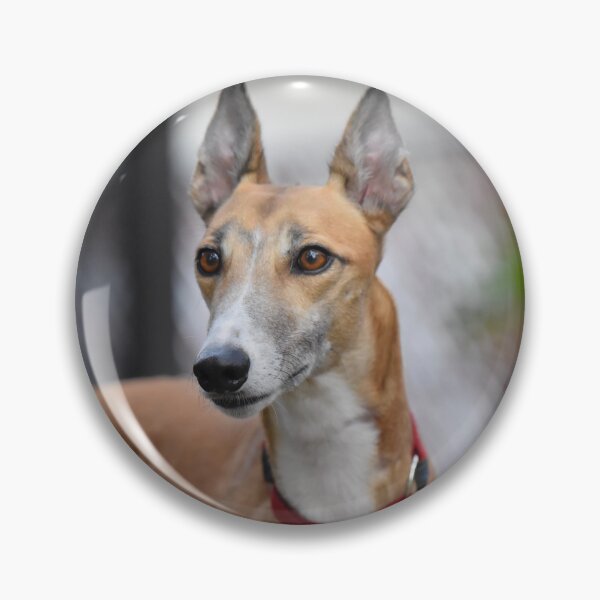 Item preview, Beautiful Racing Greyhound Dog designed and sold by VanGaldo.