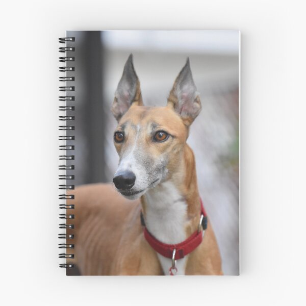 Item preview, Beautiful Racing Greyhound Dog designed and sold by VanGaldo.