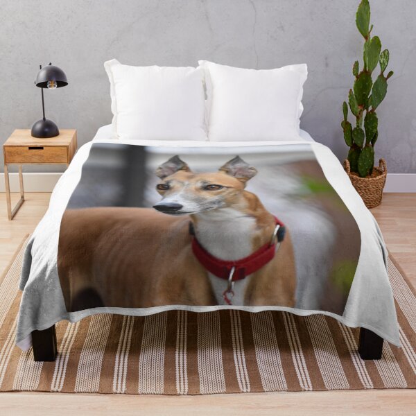 Item preview, Beautiful Racing Greyhound Dog designed and sold by VanGaldo.