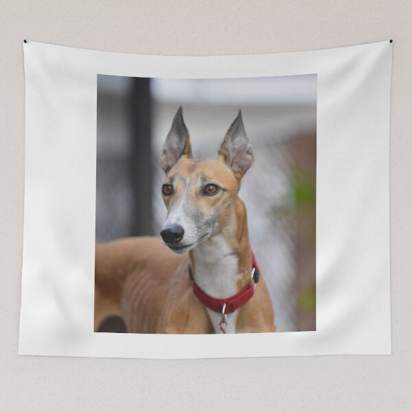 Item preview, Beautiful Racing Greyhound Dog designed and sold by VanGaldo.