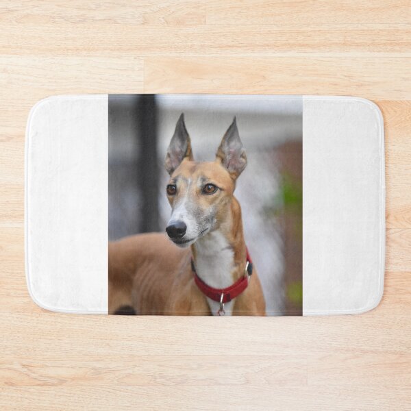 Item preview, Beautiful Racing Greyhound Dog designed and sold by VanGaldo.