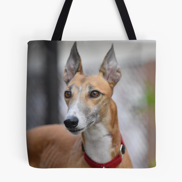 Item preview, Beautiful Racing Greyhound Dog designed and sold by VanGaldo.