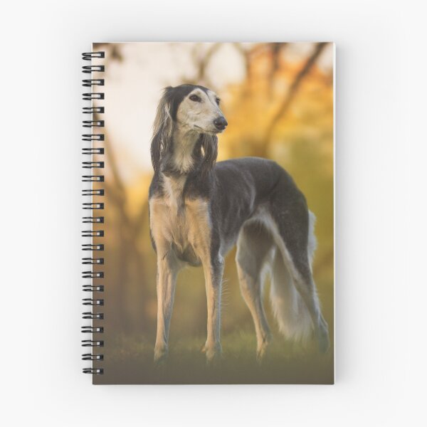 Item preview, Beautiful Greyhound Dog in Forest designed and sold by VanGaldo.
