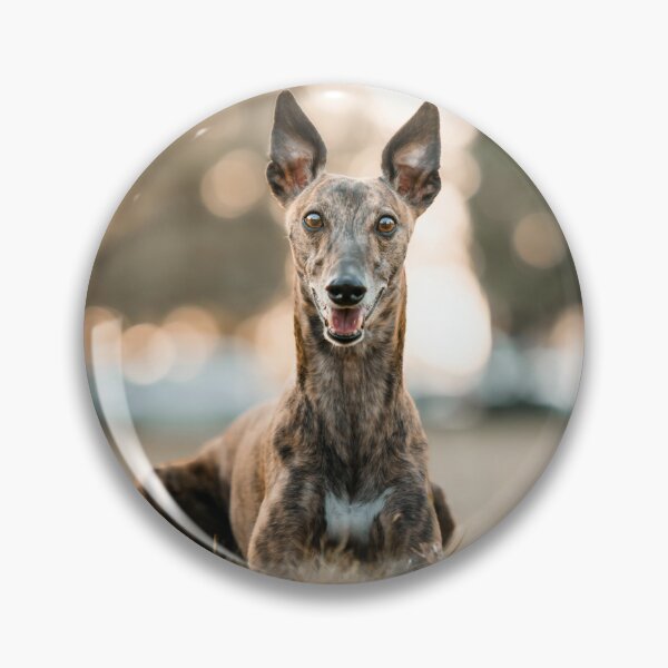 Item preview, Alert Greyhound Dog designed and sold by VanGaldo.