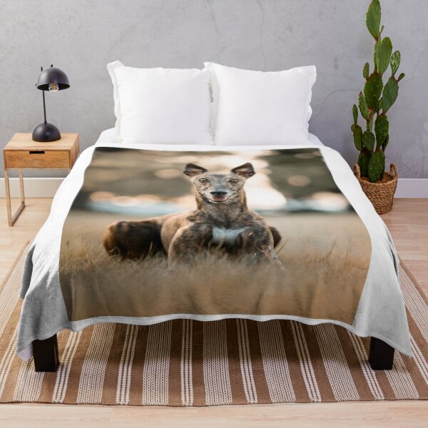 Item preview, Alert Greyhound Dog designed and sold by VanGaldo.