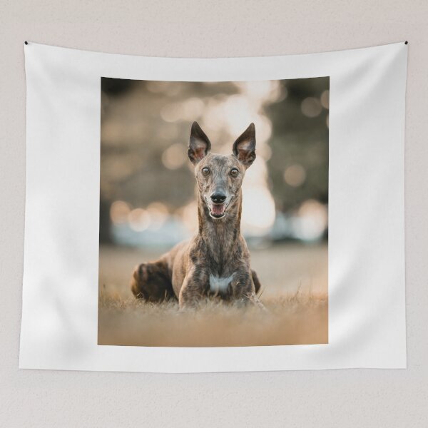 Item preview, Alert Greyhound Dog designed and sold by VanGaldo.