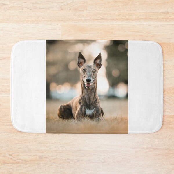 Item preview, Alert Greyhound Dog designed and sold by VanGaldo.