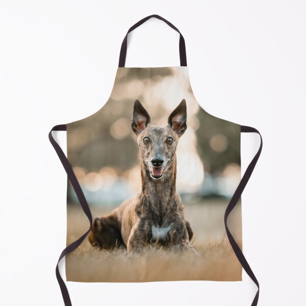 Item preview, Alert Greyhound Dog designed and sold by VanGaldo.