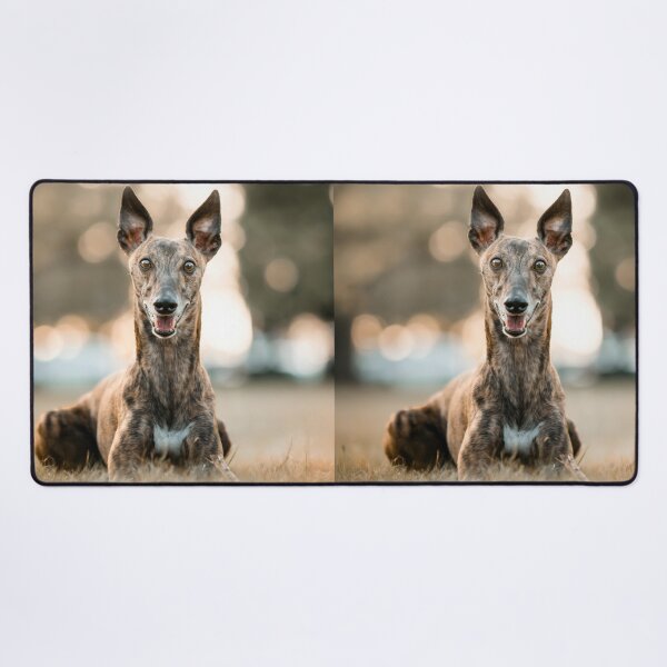 Item preview, Alert Greyhound Dog designed and sold by VanGaldo.