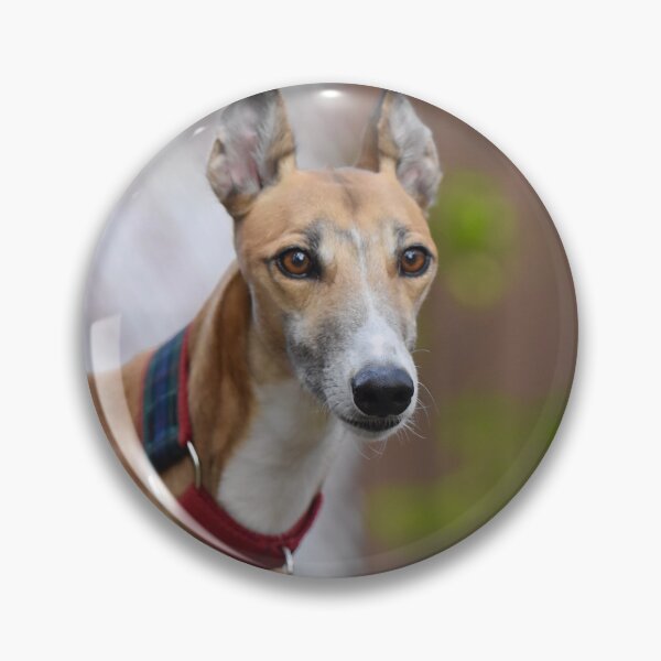 Item preview, Portrait of Racing Greyhound Dog designed and sold by VanGaldo.