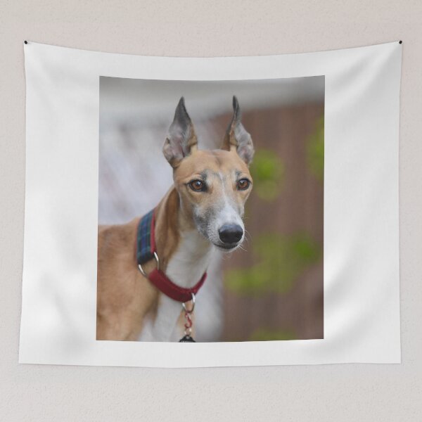 Item preview, Portrait of Racing Greyhound Dog designed and sold by VanGaldo.