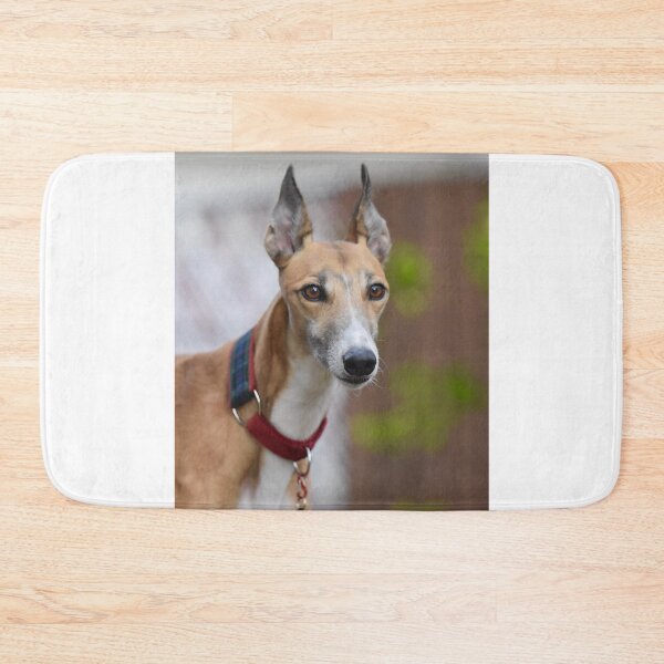 Item preview, Portrait of Racing Greyhound Dog designed and sold by VanGaldo.