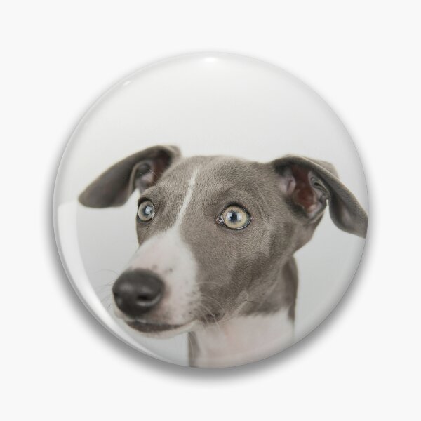 Item preview, Picture of Greyhound Dog designed and sold by VanGaldo.