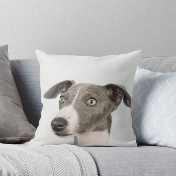 Item preview, Picture of Greyhound Dog designed and sold by VanGaldo.