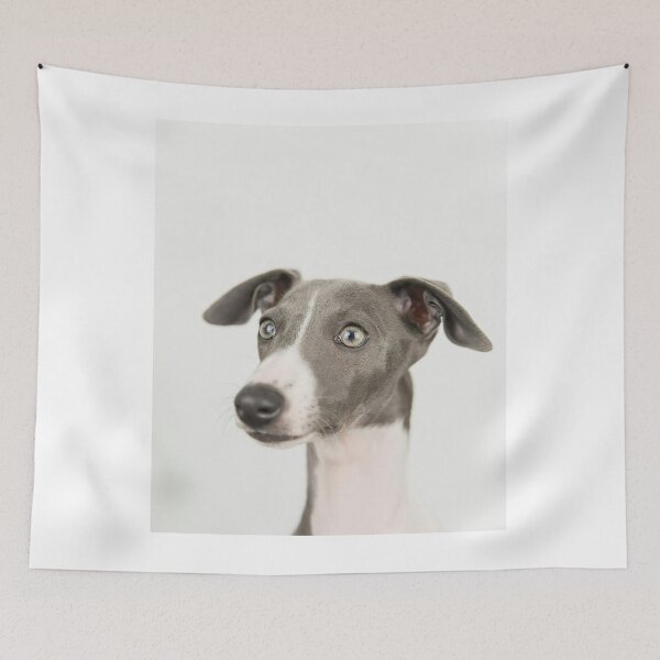 Item preview, Picture of Greyhound Dog designed and sold by VanGaldo.