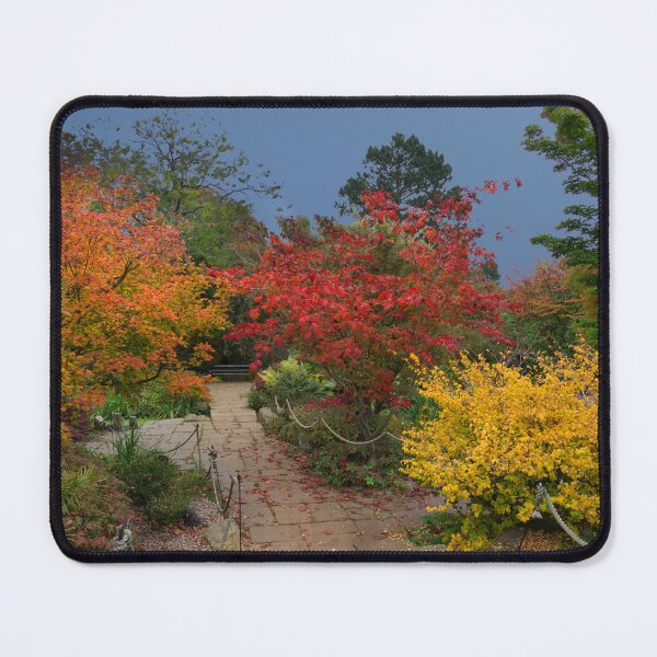 Item preview, Autumn Trees designed and sold by Alisonchambers2.