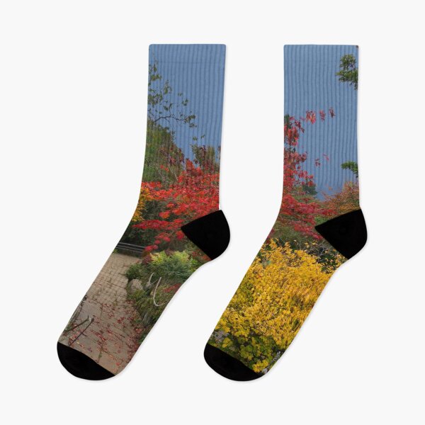 Item preview, Autumn Trees designed and sold by Alisonchambers2.